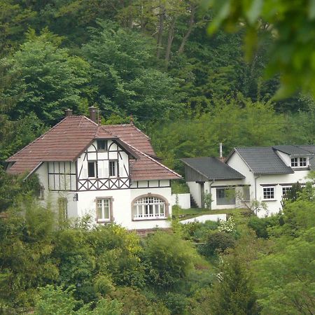 La Dependance De La Villa Des Oiseaux - La Petite Pierre Buitenkant foto