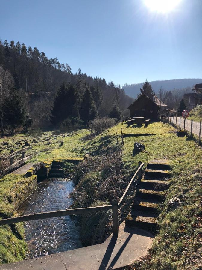 La Dependance De La Villa Des Oiseaux - La Petite Pierre Buitenkant foto
