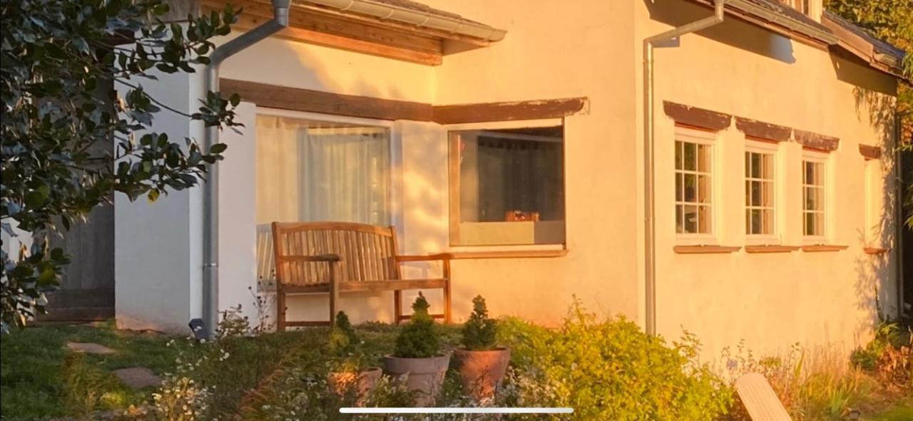 La Dependance De La Villa Des Oiseaux - La Petite Pierre Buitenkant foto