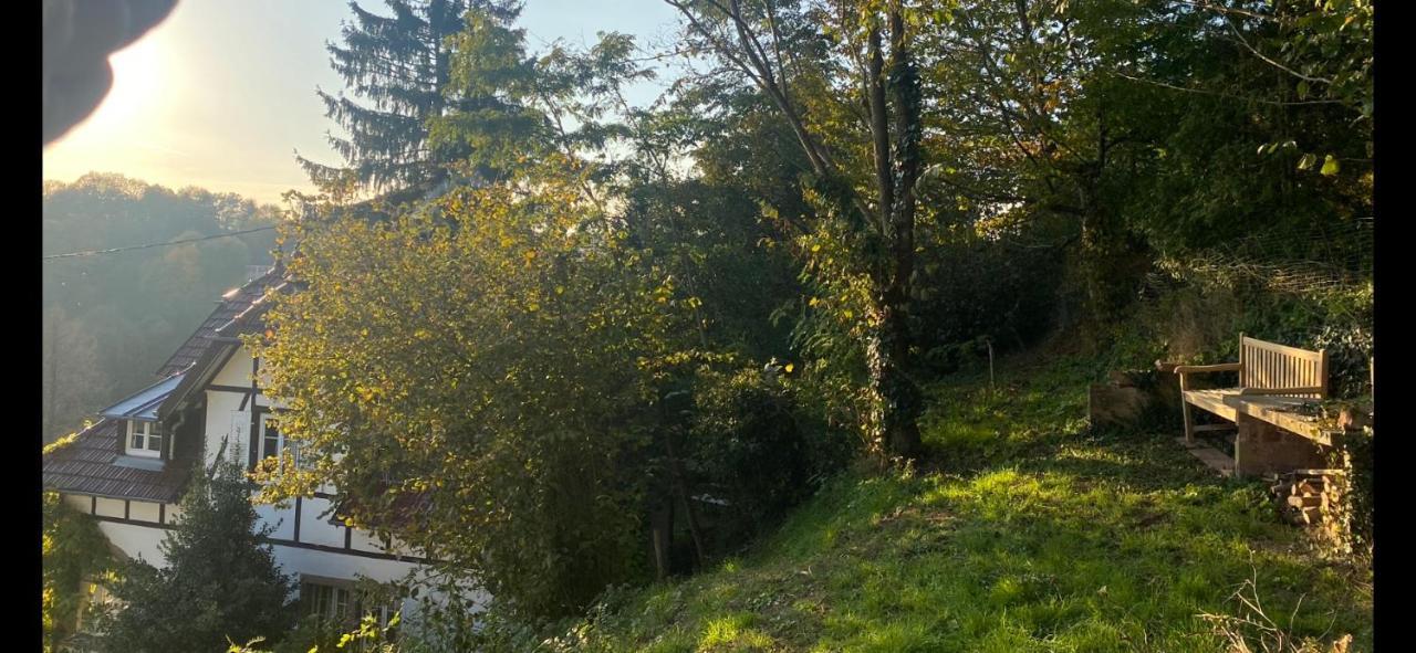 La Dependance De La Villa Des Oiseaux - La Petite Pierre Buitenkant foto