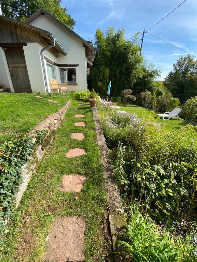 La Dependance De La Villa Des Oiseaux - La Petite Pierre Buitenkant foto