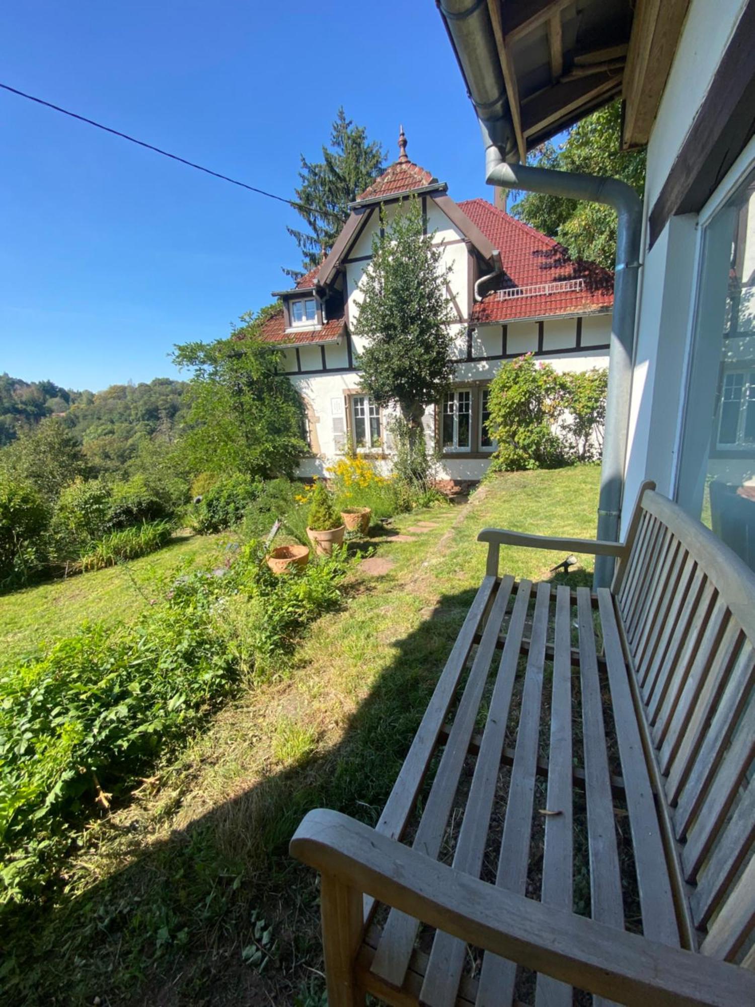 La Dependance De La Villa Des Oiseaux - La Petite Pierre Buitenkant foto