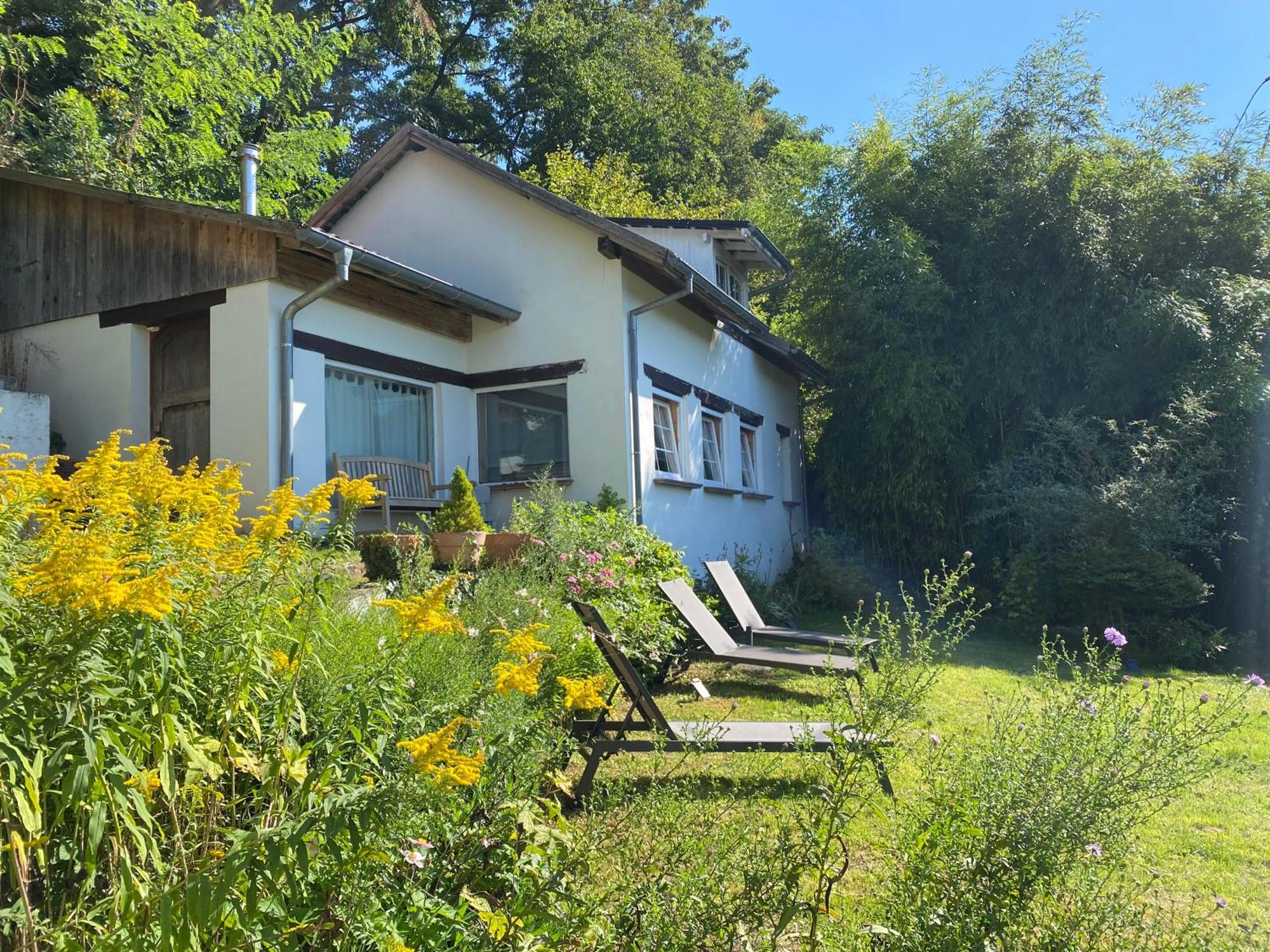 La Dependance De La Villa Des Oiseaux - La Petite Pierre Buitenkant foto
