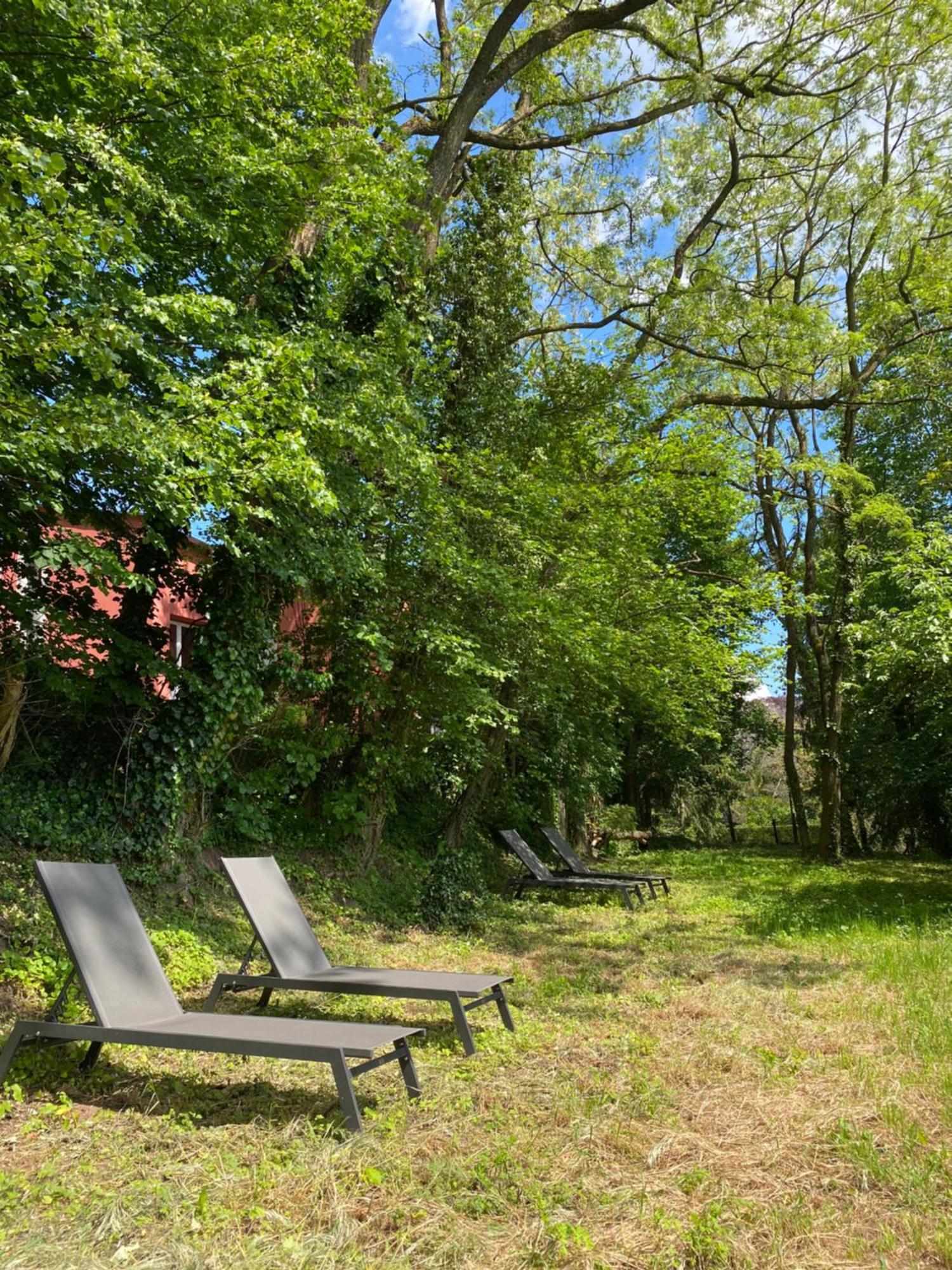 La Dependance De La Villa Des Oiseaux - La Petite Pierre Buitenkant foto