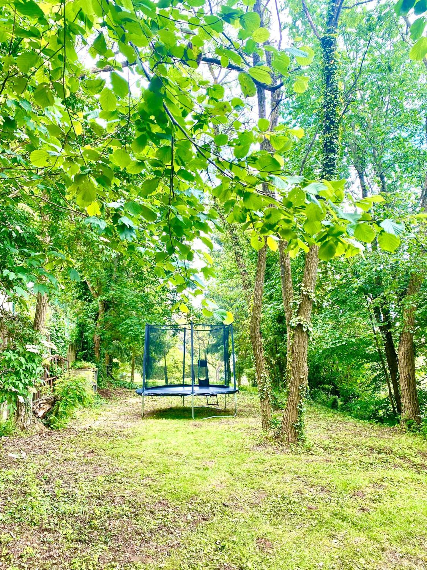La Dependance De La Villa Des Oiseaux - La Petite Pierre Buitenkant foto