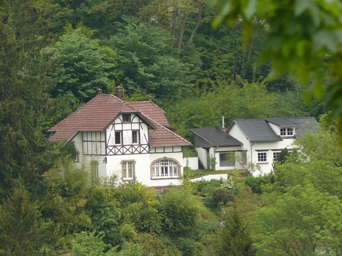 La Dependance De La Villa Des Oiseaux - La Petite Pierre Buitenkant foto