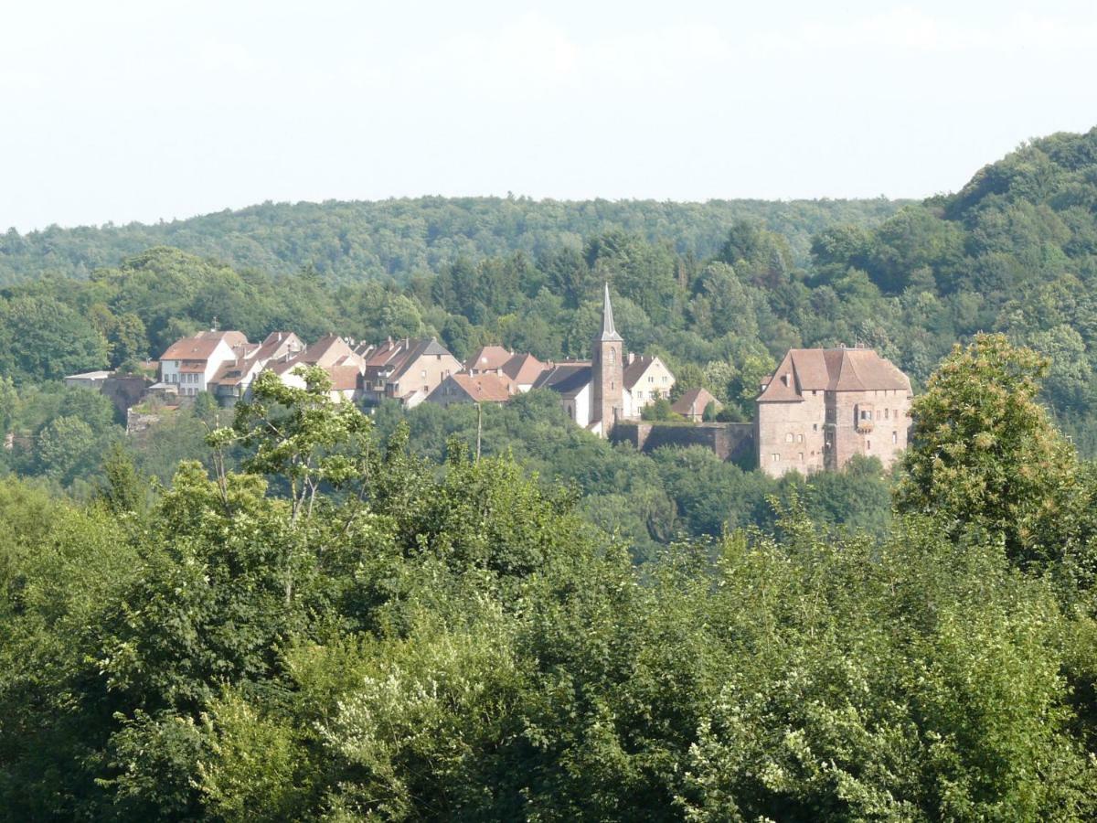 La Dependance De La Villa Des Oiseaux - La Petite Pierre Buitenkant foto