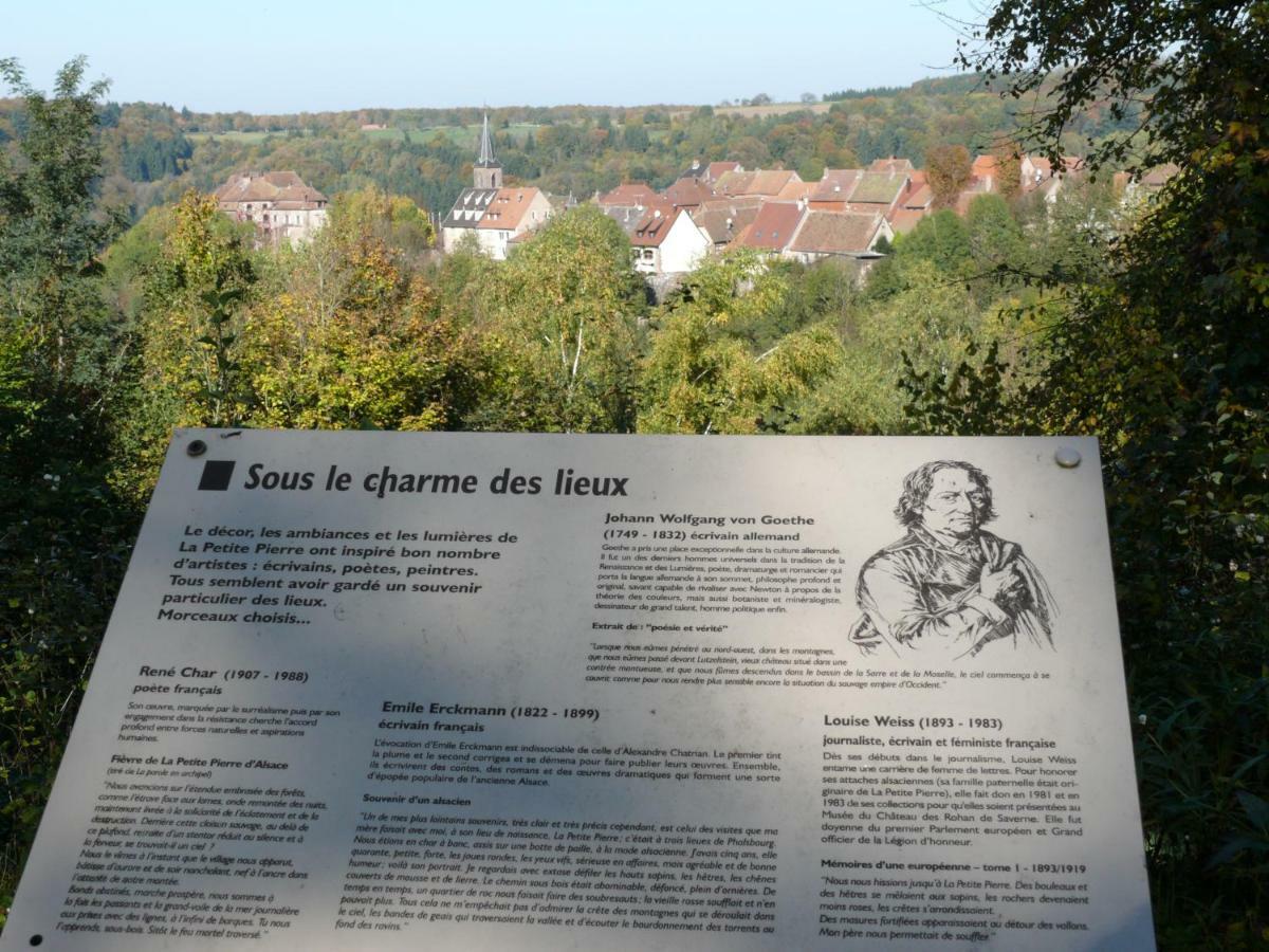 La Dependance De La Villa Des Oiseaux - La Petite Pierre Buitenkant foto