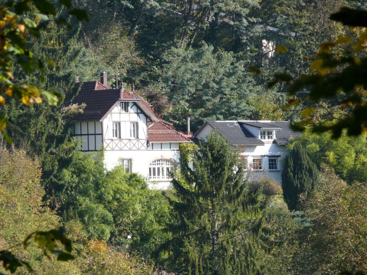 La Dependance De La Villa Des Oiseaux - La Petite Pierre Buitenkant foto
