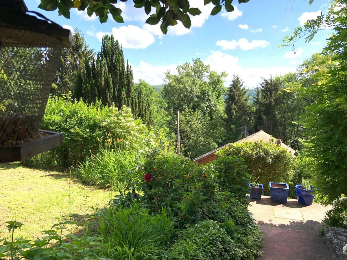 La Dependance De La Villa Des Oiseaux - La Petite Pierre Buitenkant foto